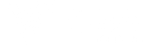 ViBA Holding