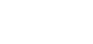 Aeskins